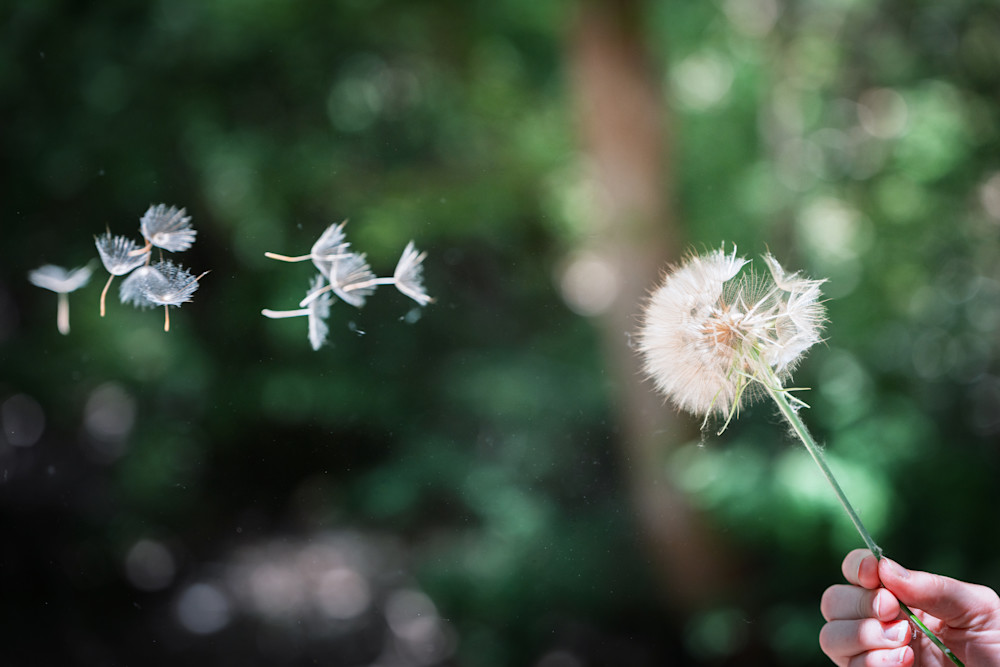 Whispers Of The Wind Photography Art | Marcus Johnson Photography