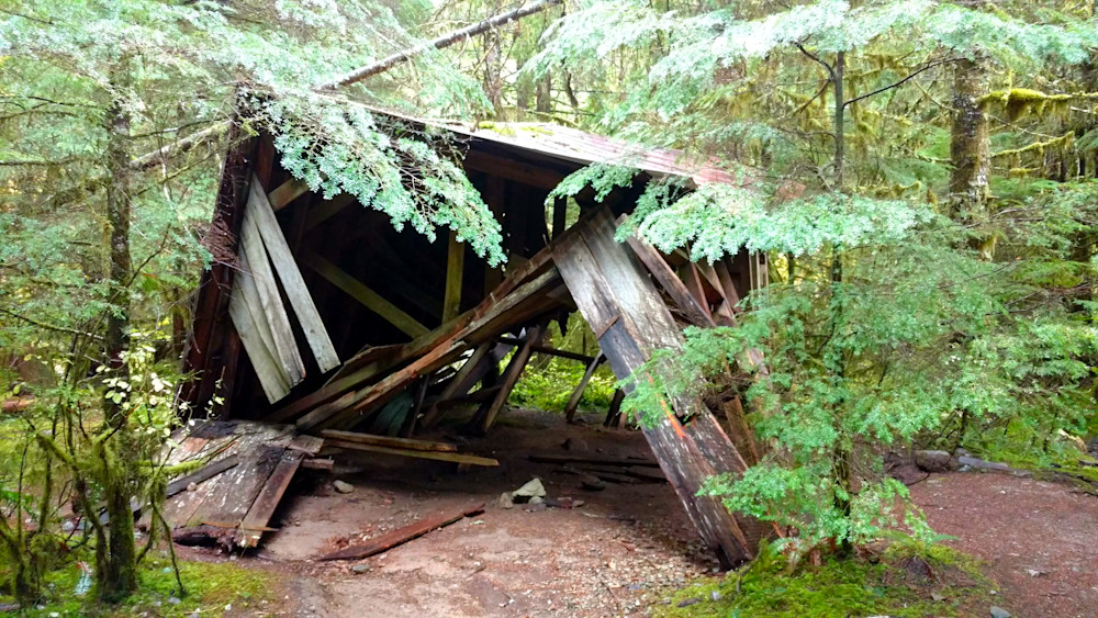Fallen Barn Jawbone Flats Opal Creek Wilderness Photography Art | InYourBackyard