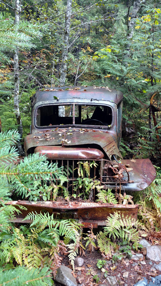 Old Panel Truck Jawbone Flats Opal Creek Wilderness Photography Art | InYourBackyard
