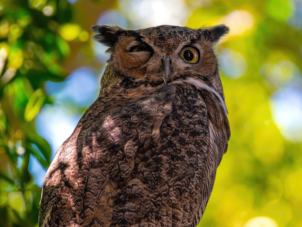 Upscaled with Gigapixel v1.0.2. 13726x10294 => 13726x10294 (1x) Model: Standard V2, denoise: 0.81005859375, sharpen: 0.6541505455970764, decompression: 0.2236328125