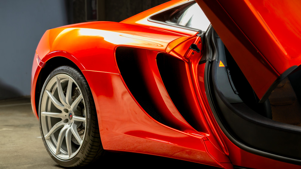 Molted Ascent Art | The Frame Gallery