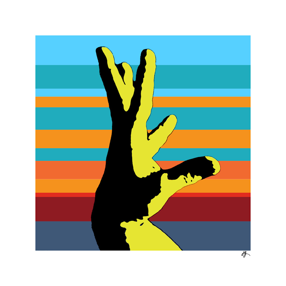 Feel the Sun Fine Art and ASL Video by Jon Savage | Jon Savage Gallery