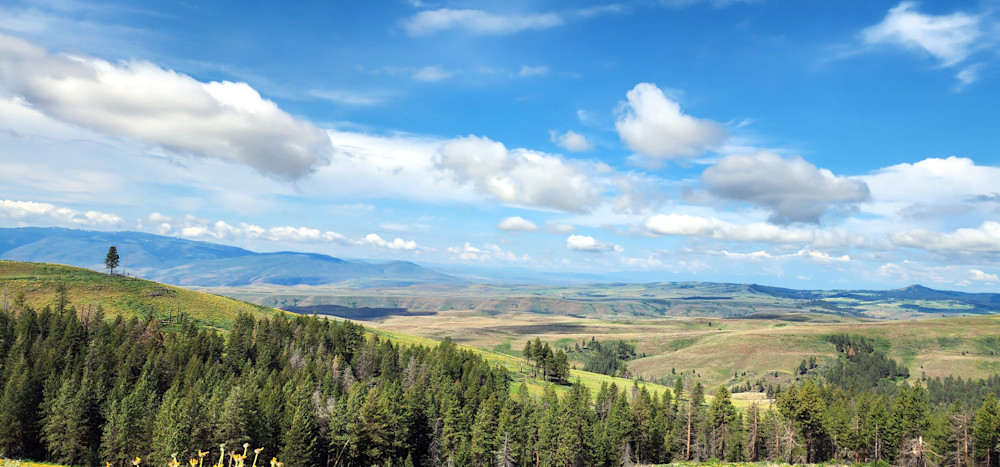 Wallowa Whitman National Forest Hillsides Photography Art | InYourBackyard