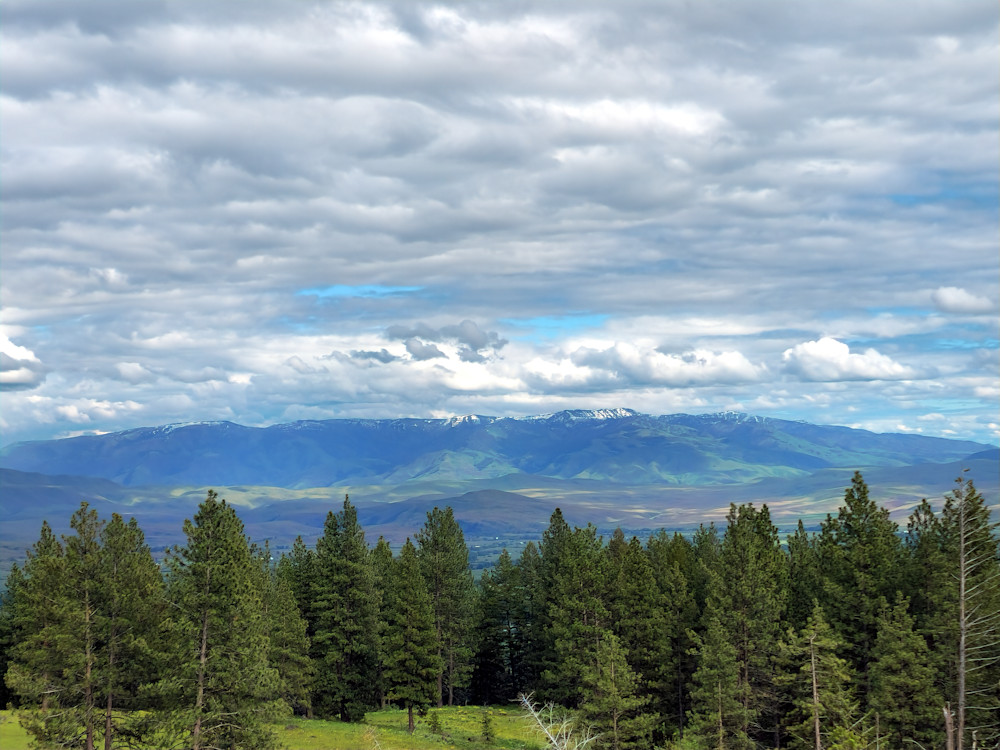 Wallowa Whitman National Forest Mountain Landscape Photography Art | InYourBackyard