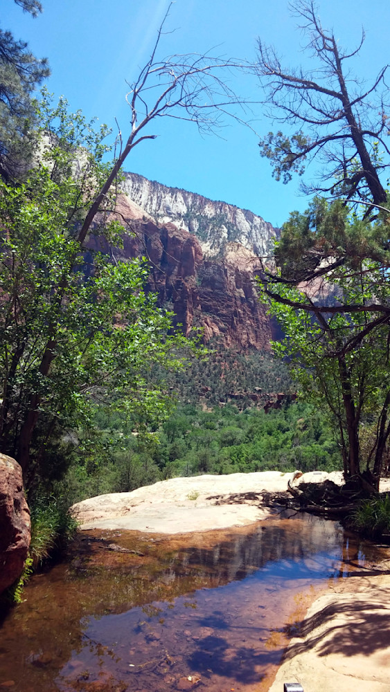 Zion National Park Water Mountain Between Trees Photography Art | InYourBackyard