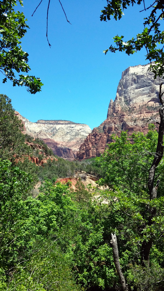 Zion National Park Through The Trees Photography Art | InYourBackyard