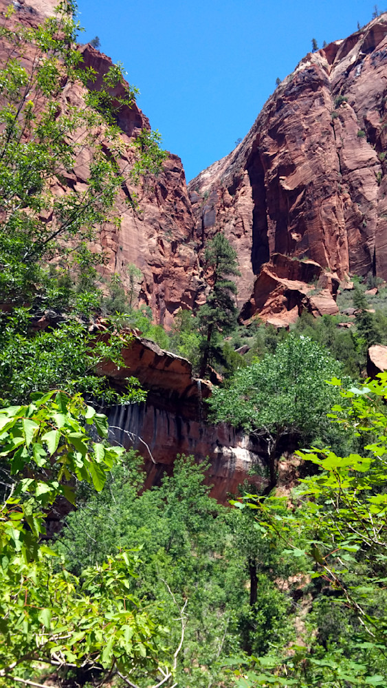 Zion Rock Mountains Blanketed Trees Photography Art | InYourBackyard