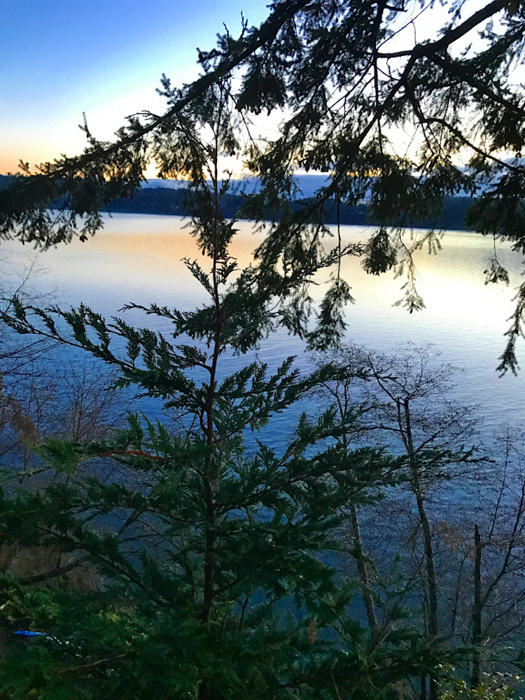 Whidbey Island   Puget Through The Trees Photography Art | InYourBackyard