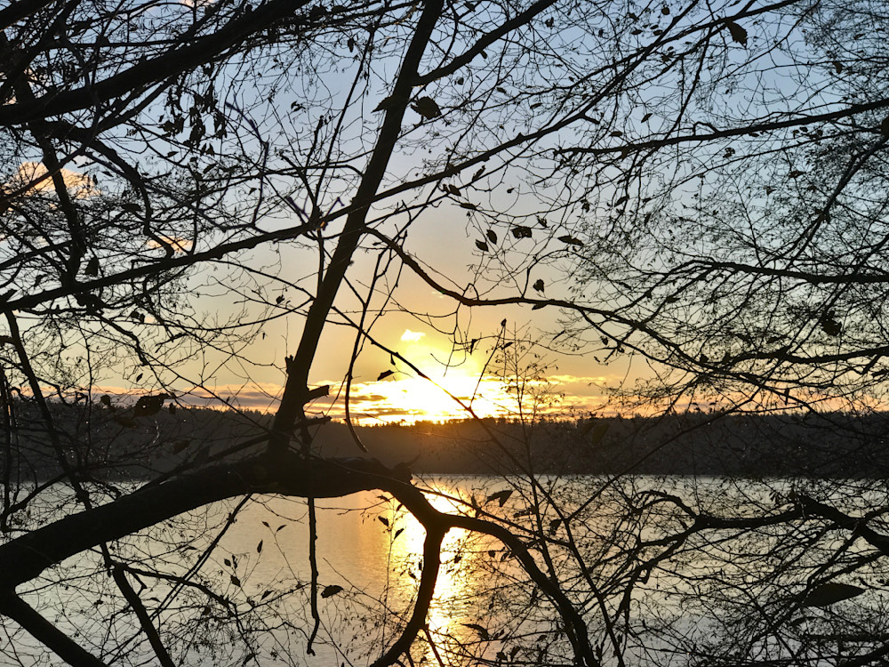 Whidbey Island   Sunset Through Trees Photography Art | InYourBackyard