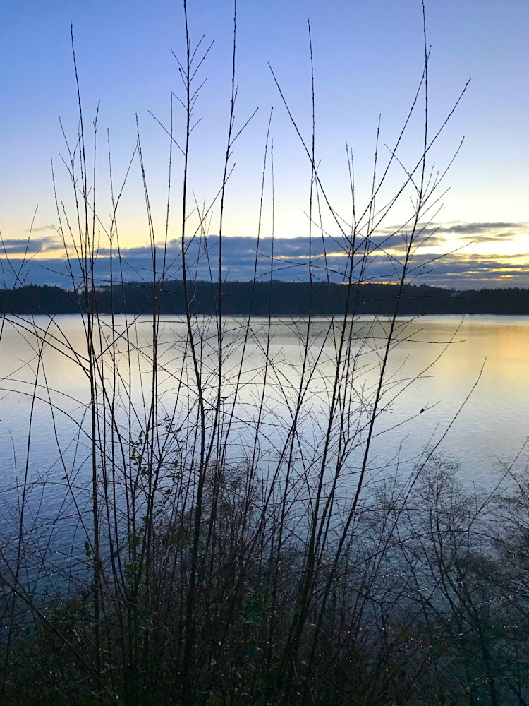 Whidbey Island  Puget Sound Background Photography Art | InYourBackyard