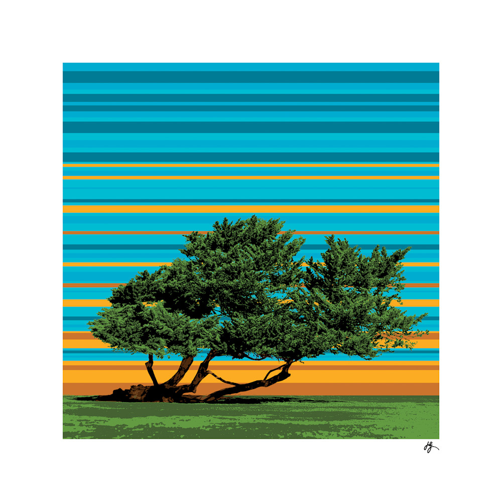 Iconic Cypress Tree – La Jolla Fine Art Print by Jon Savage