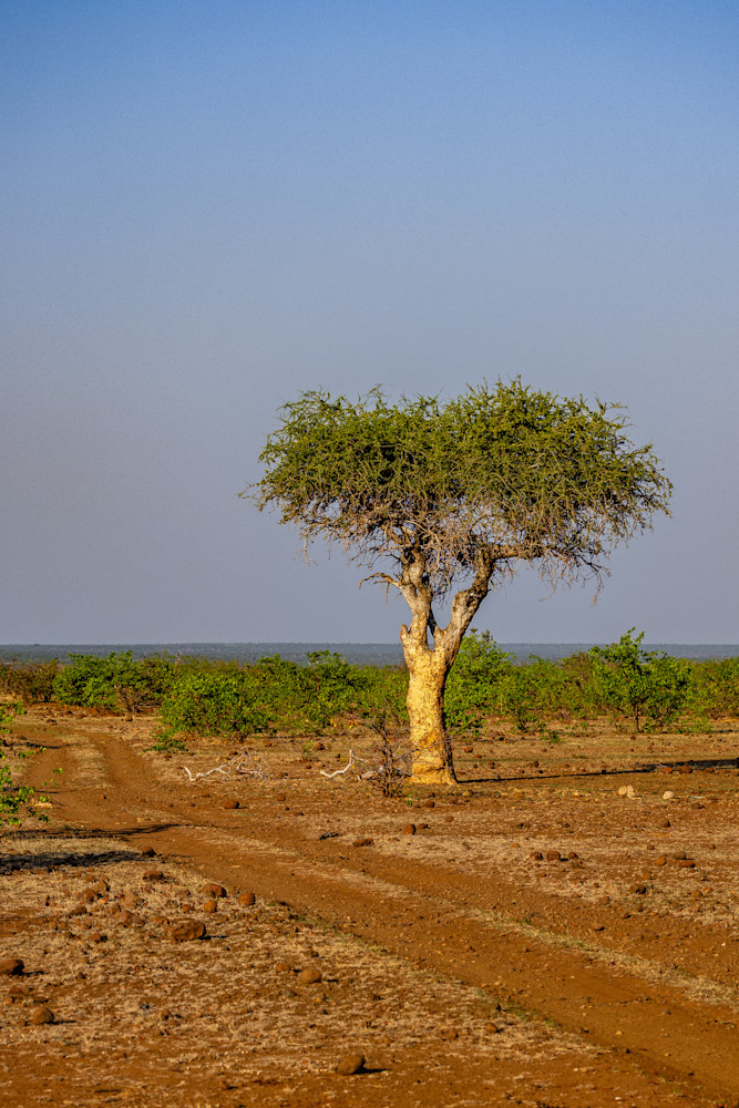 Pn0 A1704 Photography Art | Kevin Morris Photography USA