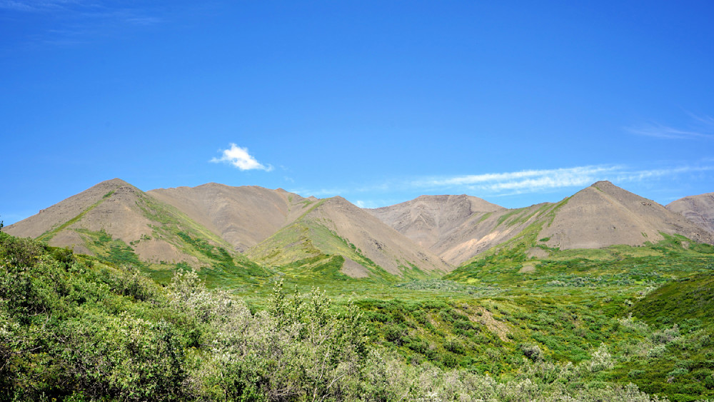 Alaska Hillside View Photography Art | InYourBackyard