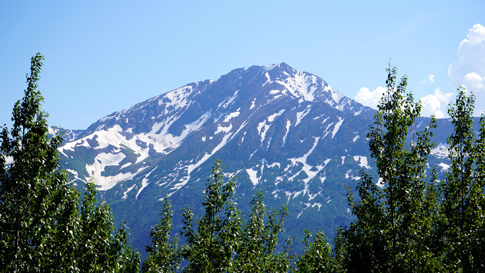 Alaska Mountain Amoungst Trees Photography Art | InYourBackyard