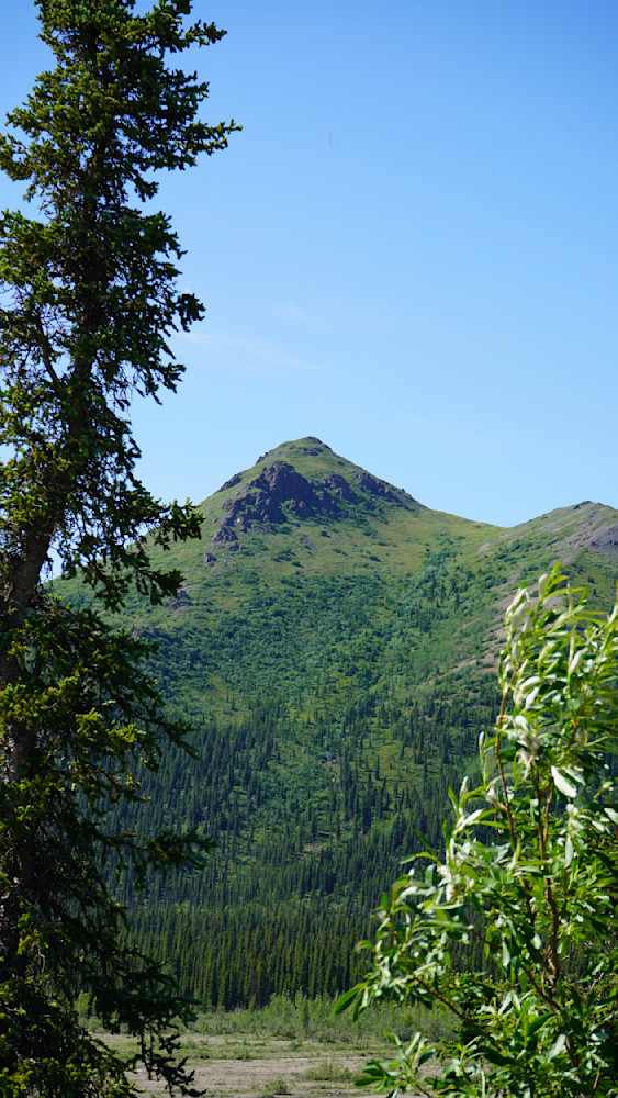 Alaska Tundra Photography Art | InYourBackyard