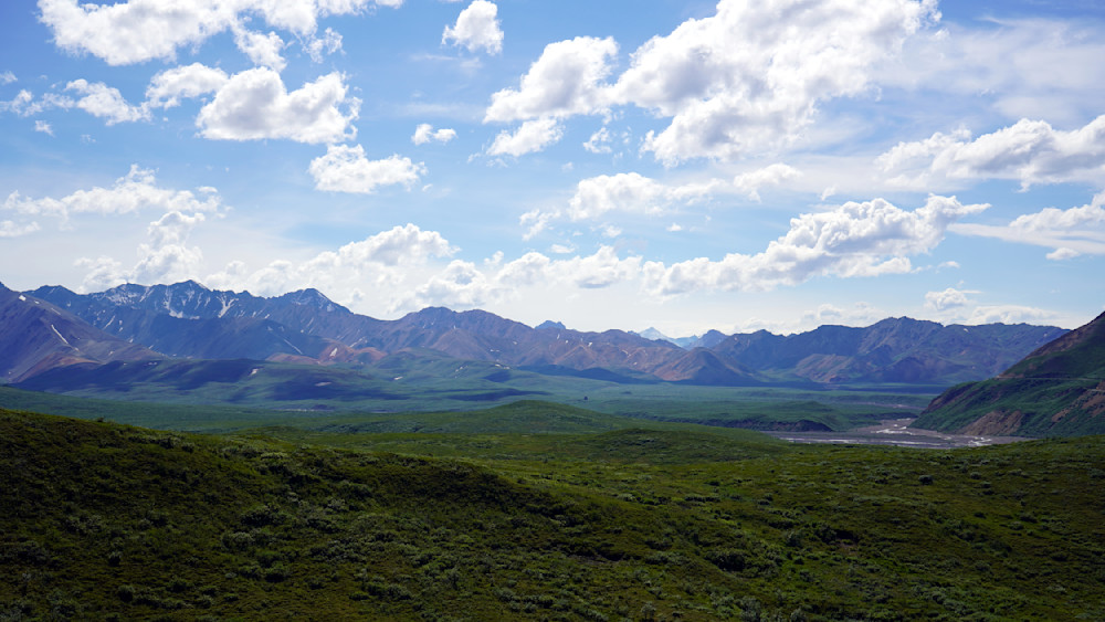 Alaskan Mountains For Miles In Denali National Forest Photography Art | InYourBackyard