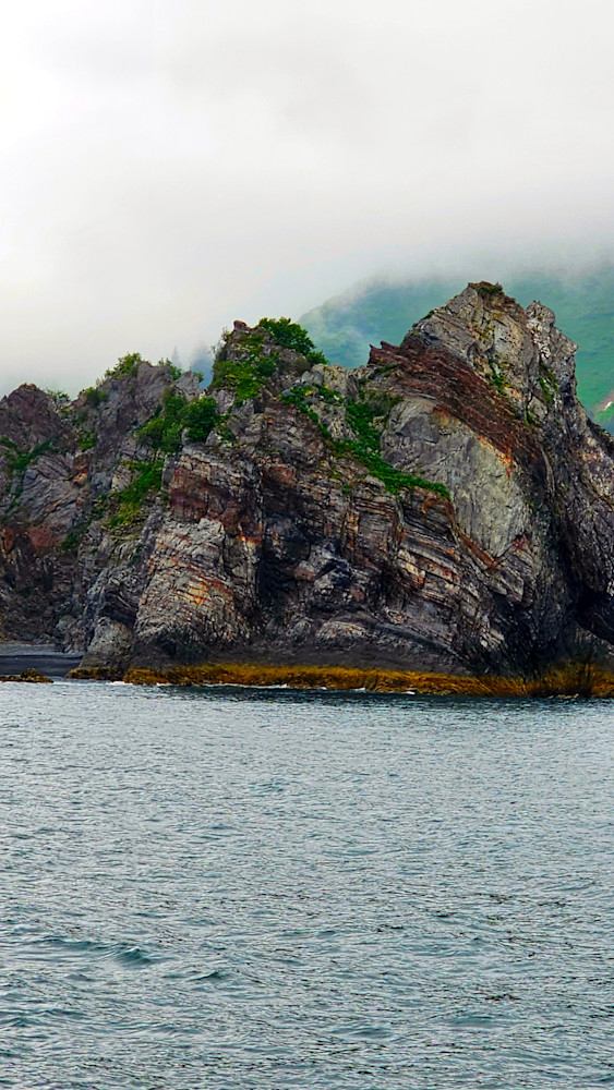 Coastline Fjords In Kenai National Park Photography Art | InYourBackyard