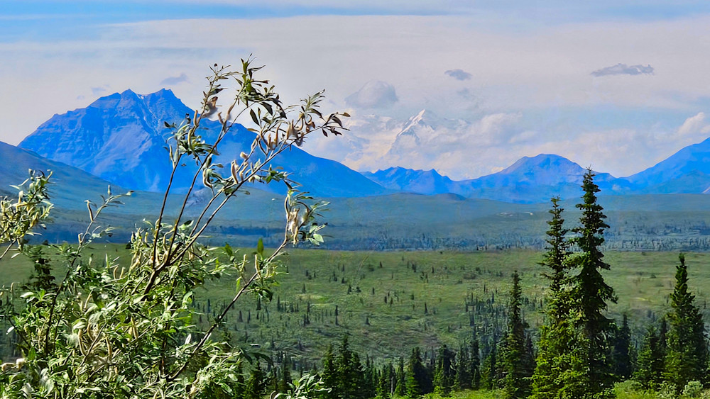 Denali Mountain Peak Through The Clouds Photography Art | InYourBackyard