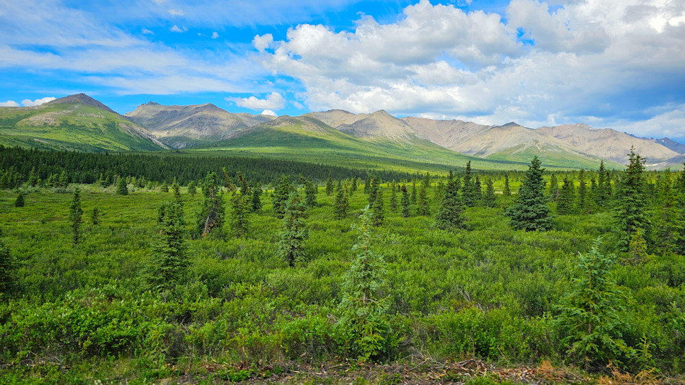 Denali National Park Landscap Photography Art | InYourBackyard