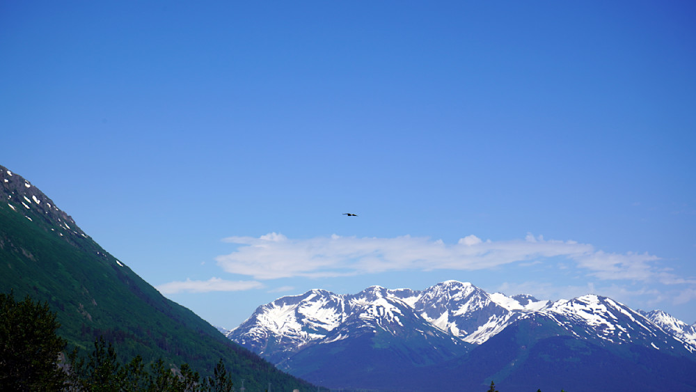 Flying Over The Mountains In Alaska Photography Art | InYourBackyard