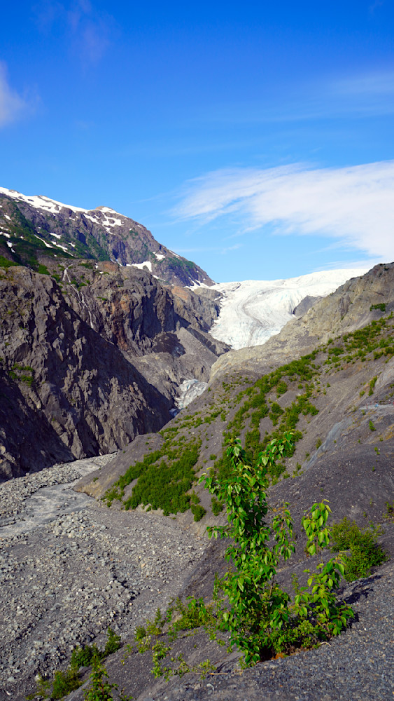 Exit Glacier   Kenai Fjords National Park Photography Art | InYourBackyard