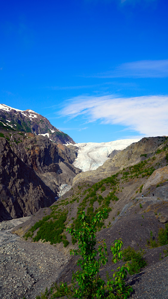 Exit Glacier Kenai Fjords National Park Photography Art | InYourBackyard