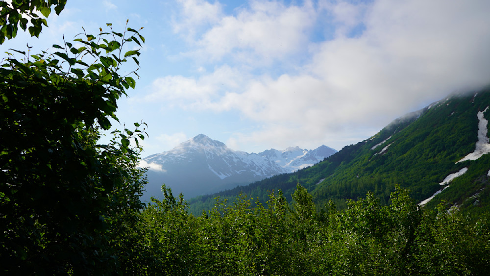 Green Landscapes And Moutains Near Valdez Alaska Photography Art | InYourBackyard