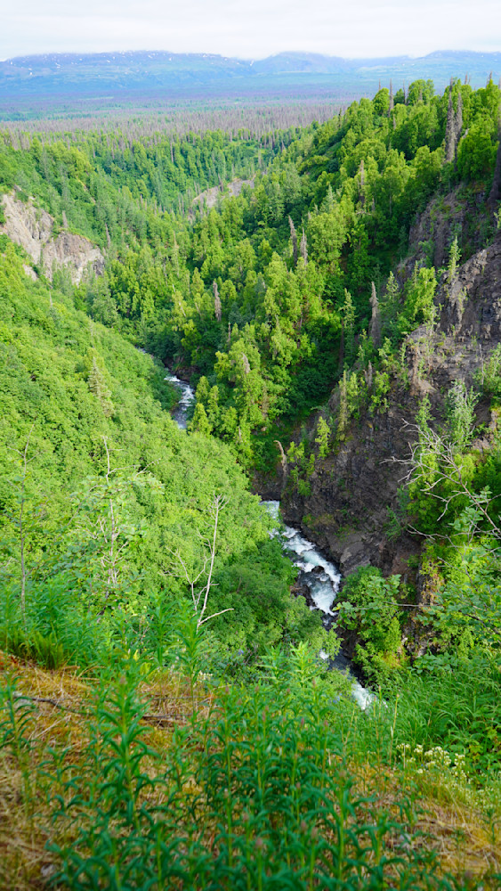 Hurricane Creek   Alaska Photography Art | InYourBackyard