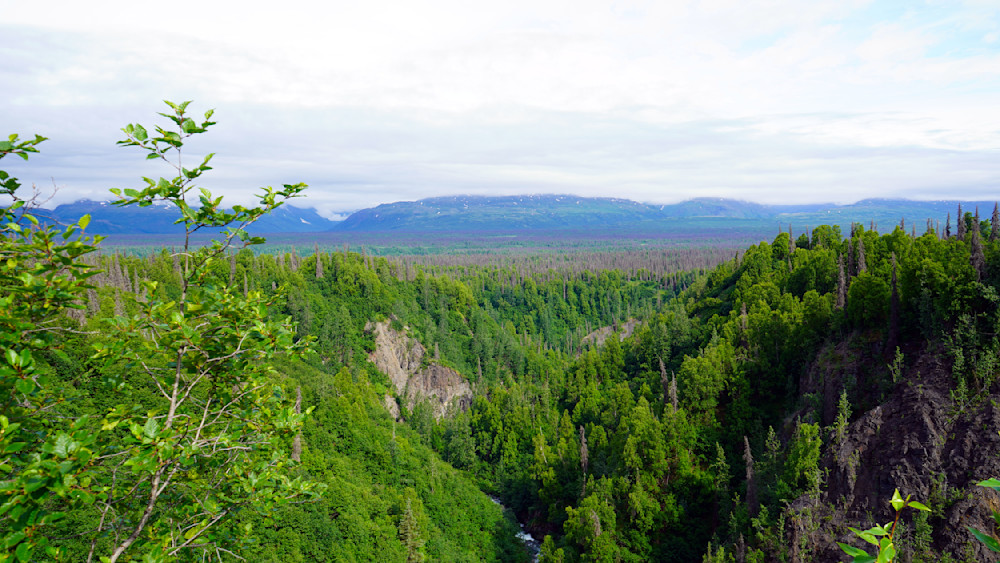 Hurricane Gulch Creek Photography Art | InYourBackyard