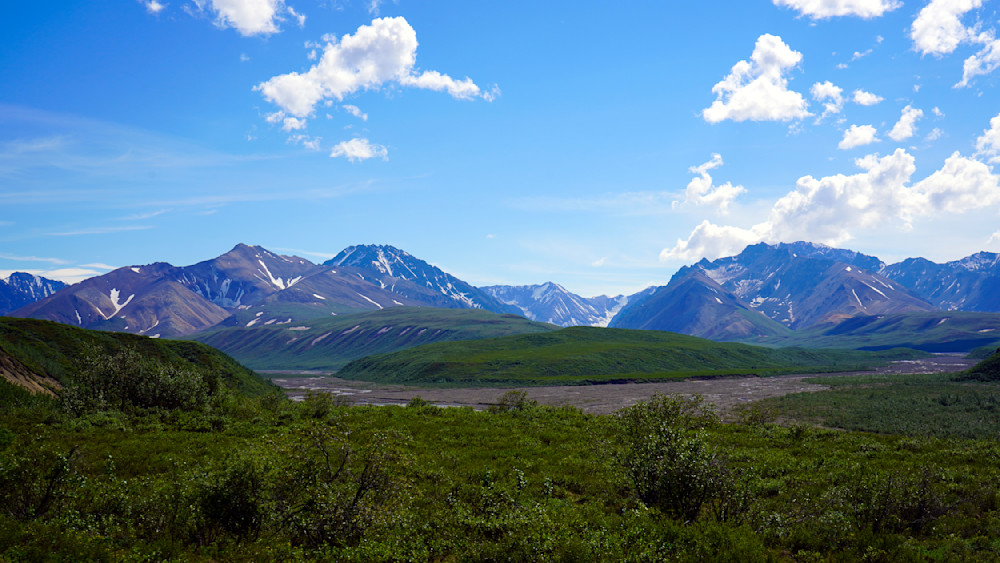 Mountanous Views Of Denali National Park In Alaska Photography Art | InYourBackyard