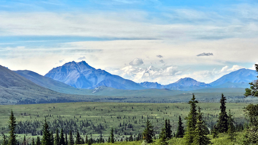 Mt Denali Photography Art | InYourBackyard
