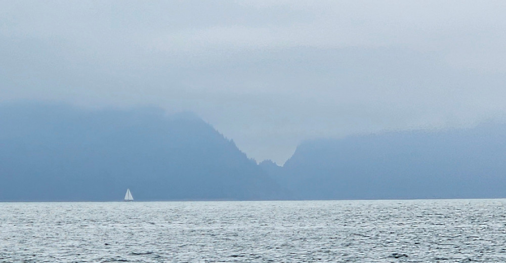 Sailboat In Resurrections Bay Photography Art | InYourBackyard