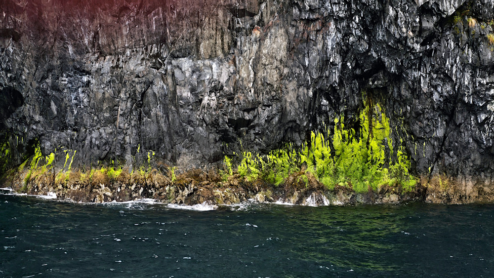 Rock Life In Resurrection Bay Photography Art | InYourBackyard