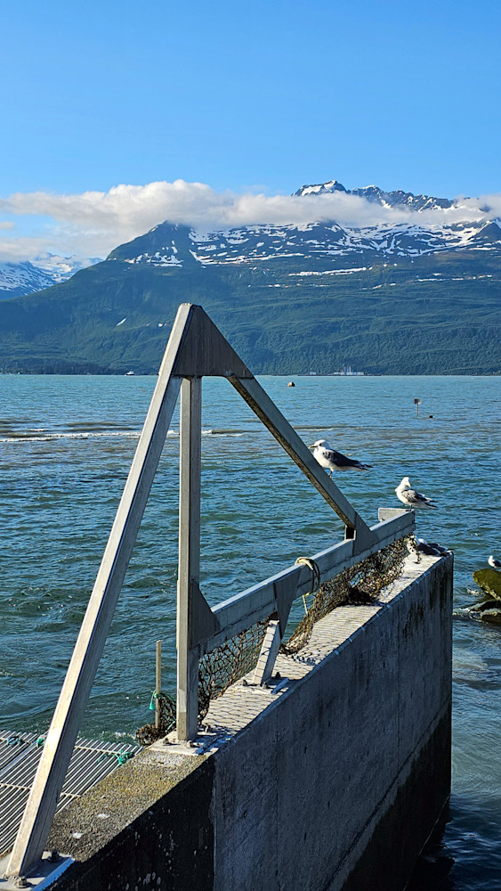 Solomon Gulch Hatchery   Valdez Alaska Photography Art | InYourBackyard