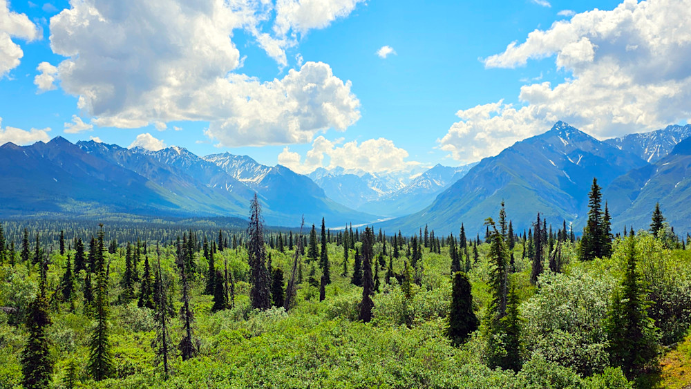 Taiga Forest Valley Landscape Alaska Range Photography Art | InYourBackyard