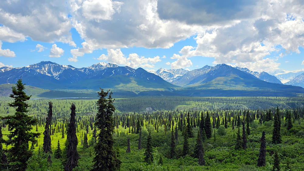 Taiga Forest And Alaska Range Photography Art | InYourBackyard