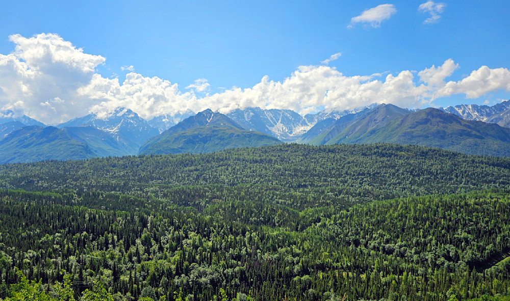 Trees For Miles In Alaskan Mountain Range Photography Art | InYourBackyard