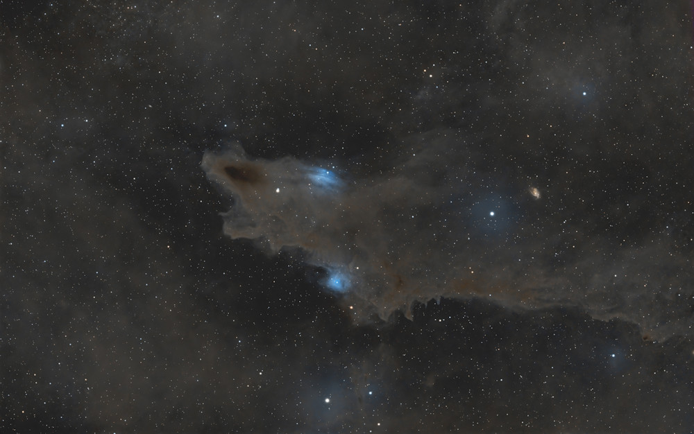 LDN 1235 Dark Shark Nebula - Astrophotography Print