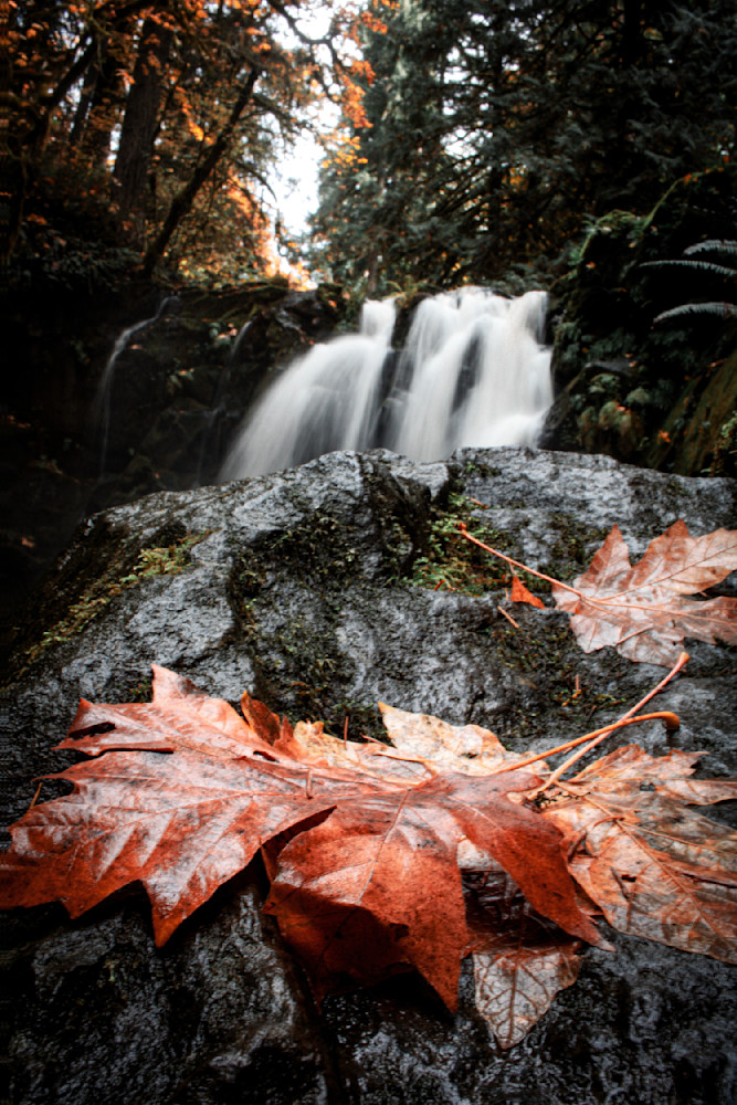 Pausing Before the Rush – Autumn Leaves & Waterfall Fine Art Nature Photography by Janie Lynn