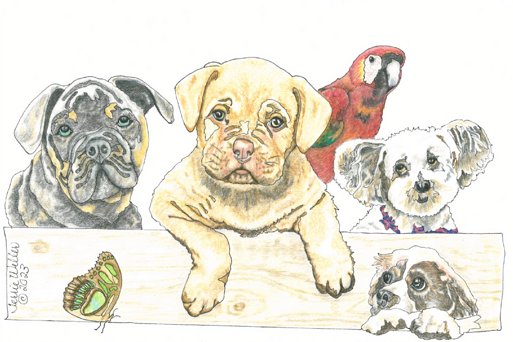Four Puppies And A Parrot Mtow Art | Fine Art by Terrie D
