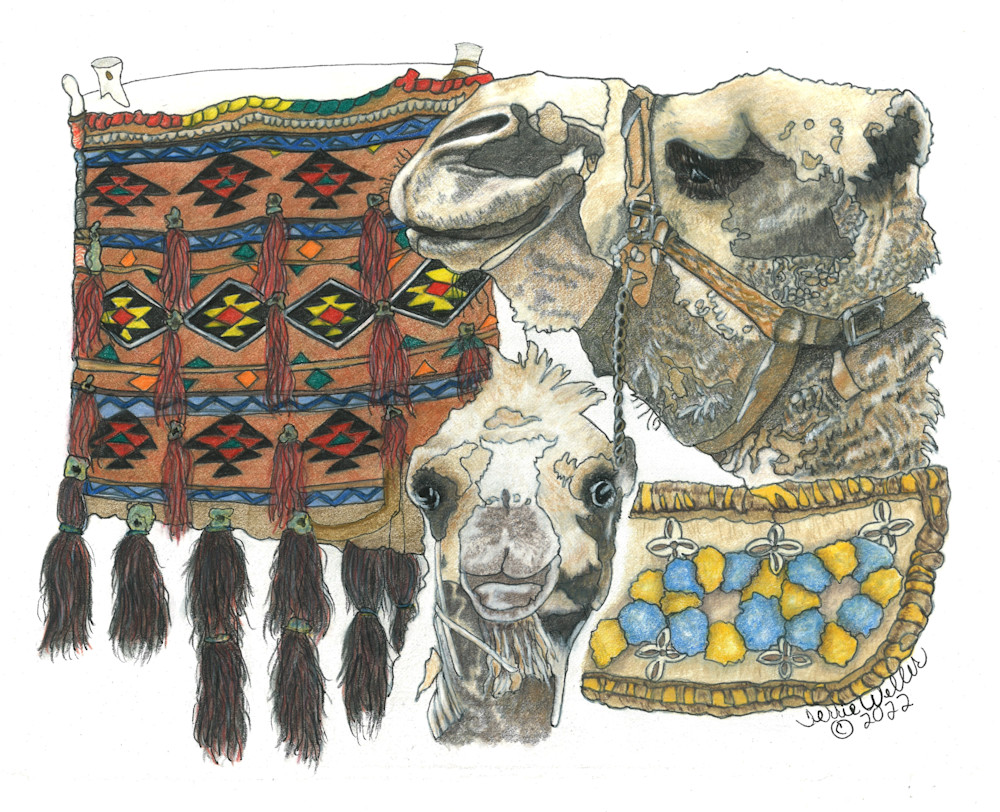 Mama Baby Camel Mtow Art | Fine Art by Terrie D