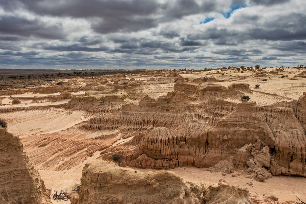 Mungo At Noon Photography Art | Sunsets and Flowers Photography