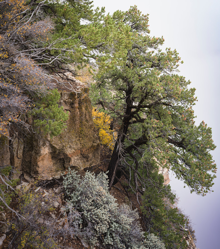 On The Edge - Mystical Grand Canyon Photography