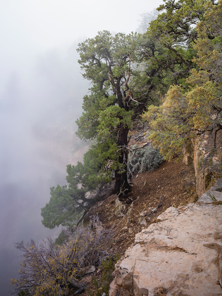 Mystical Edge - Foggy Grand Canyon Landscape Photography