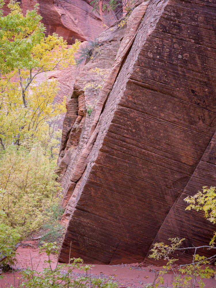 Side Canyon - Vibrant Autumn Landscape Photography