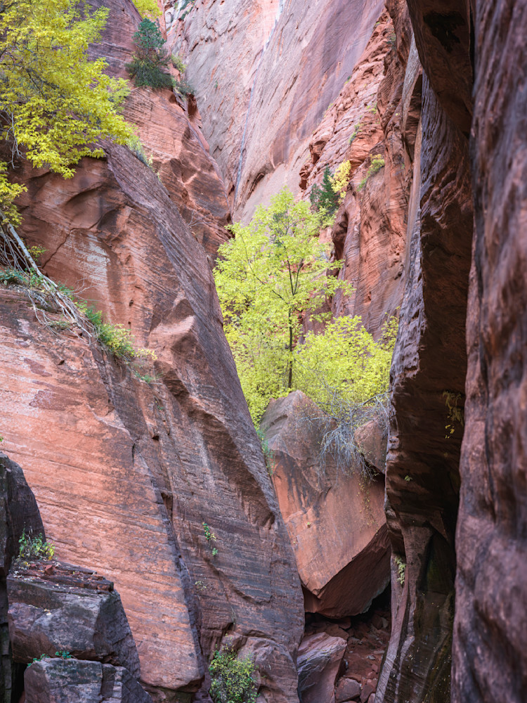 Canyon's End - Stunning Kolob Canyon Photography