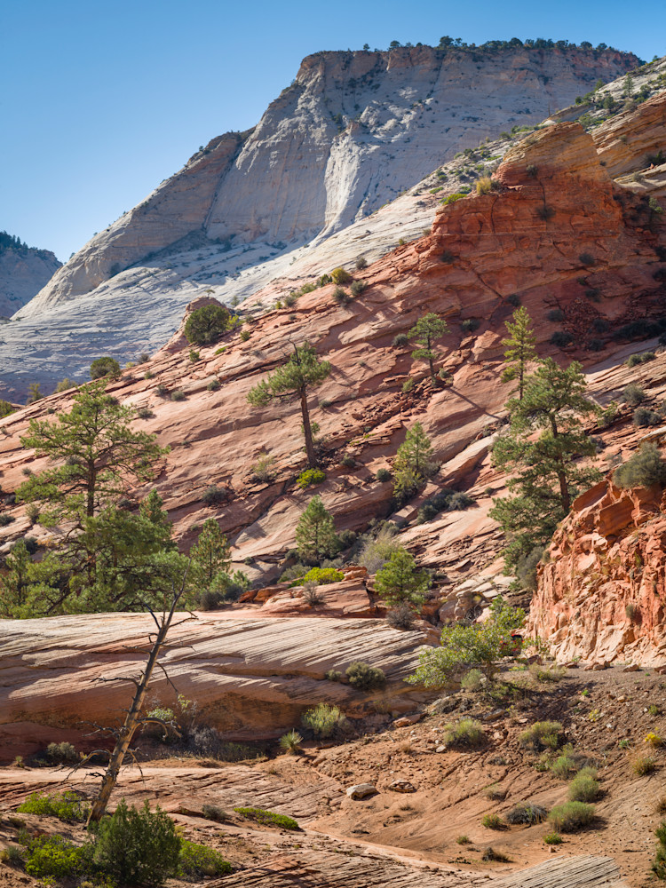 Colorful Zion - Vibrant Landscape Photography