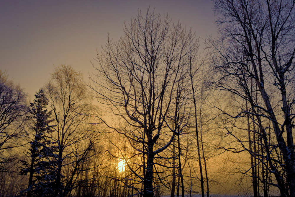 Winter Twilight Whispers