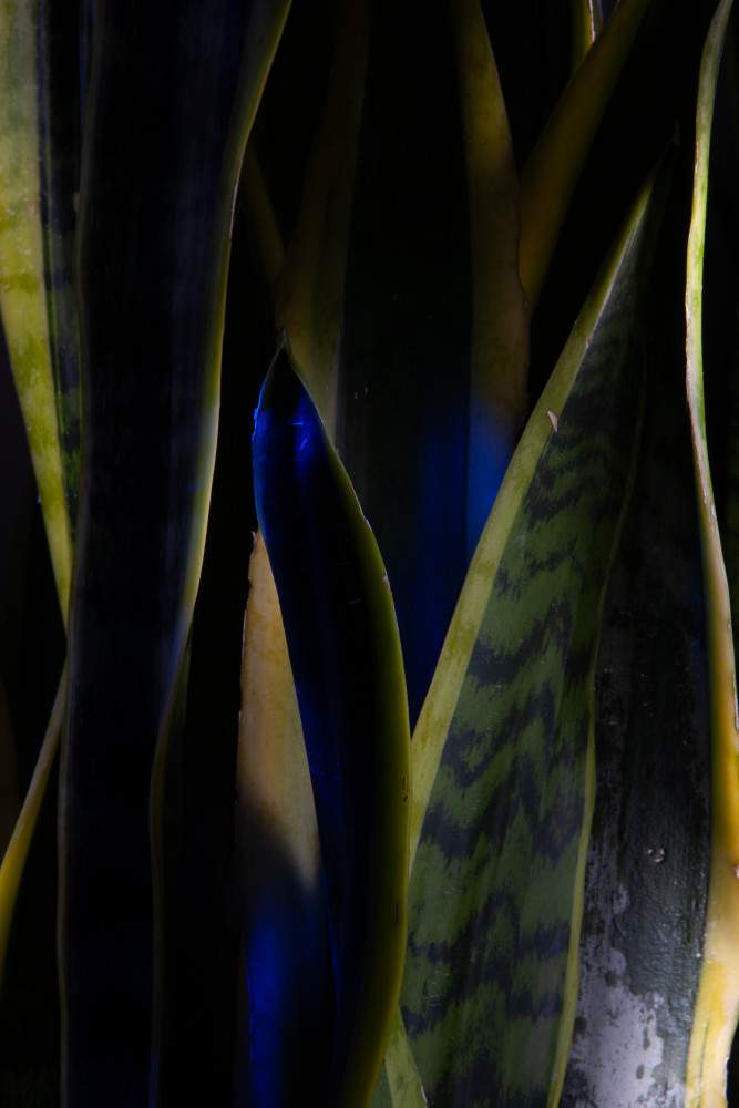 Night Mood Photography Art | ANASTASE PHOTOGRAPHY