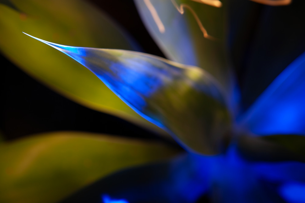 Night Mood 2 Photography Art | ANASTASE PHOTOGRAPHY